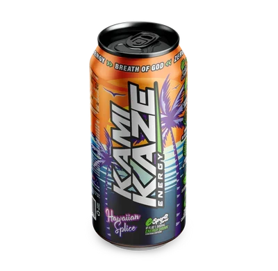 KAMIKAZE ENERGY
